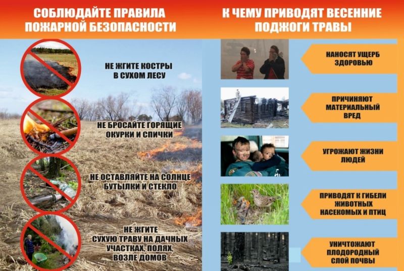 Напоминаем, что с 1 мая в лесах Архангельской области объявлен пожароопасный сезон